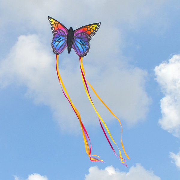 Schmetterling "Regenbogen" (80cm)